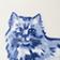 Maine Coon