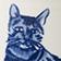 Tabby