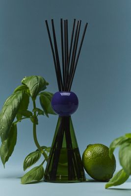 wxy. Fresh Basil & Sweet Lime Glass Reed Diffuser