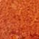 Tan Raffia