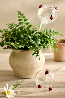 Terrain Ladybug Glass Watering Globes, Set Of 2