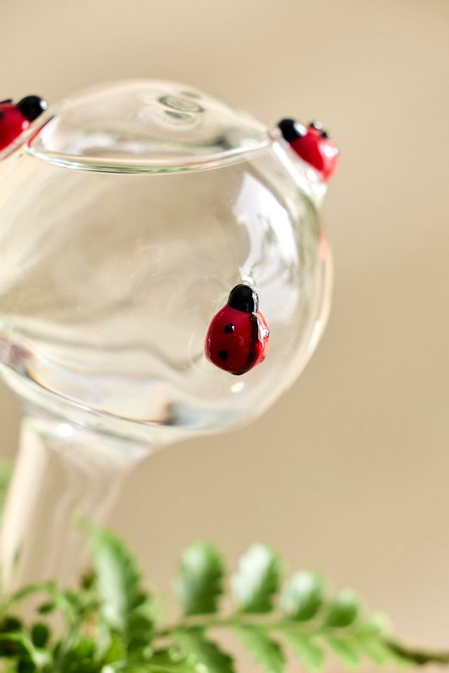Ladybug Glass Watering Globes, Set of 2 #1