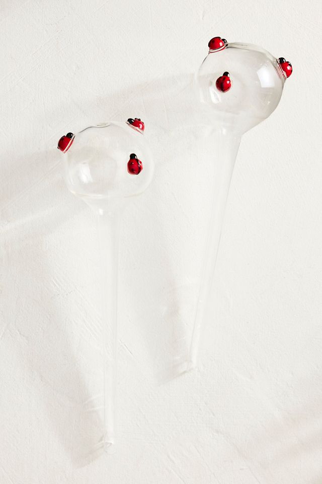 Ladybug Glass Watering Globes, Set of 2 #2