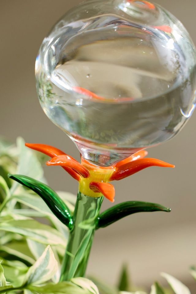 Floral Glass Watering Globe #1