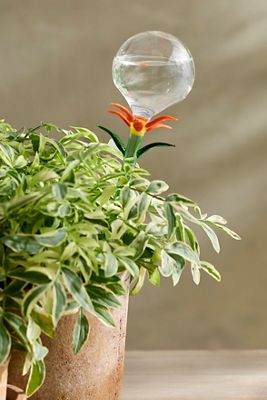Floral Glass Watering Globe