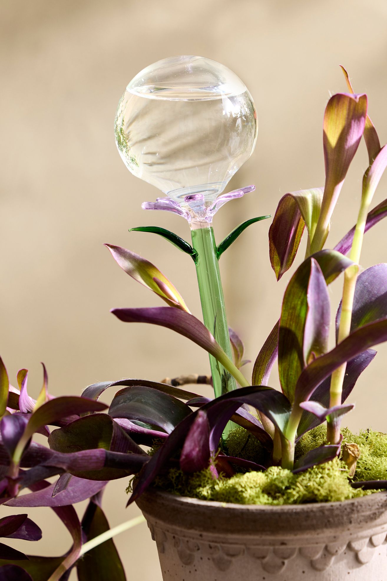 Floral Glass Watering Globe - Light Purple, One Size