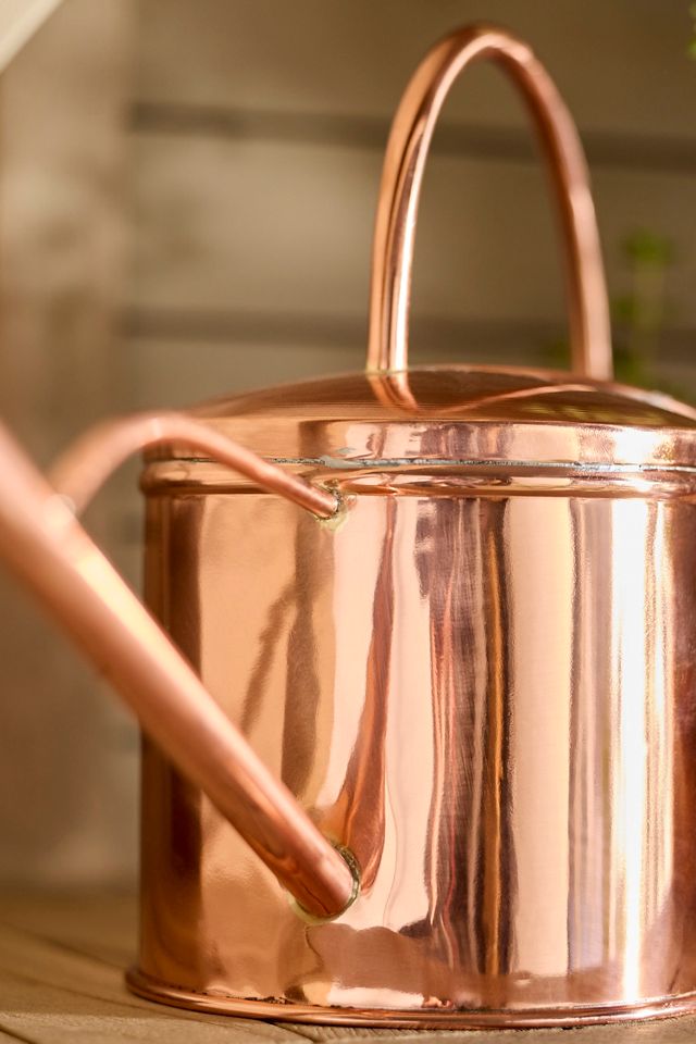 Long Spout Watering Can #1