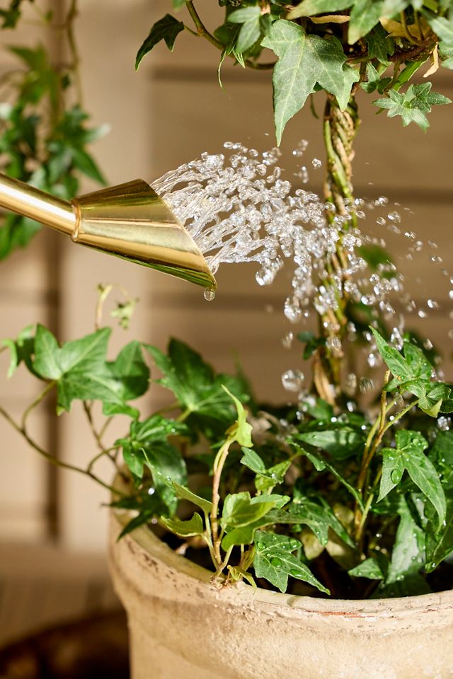 Long Spout Watering Can #2