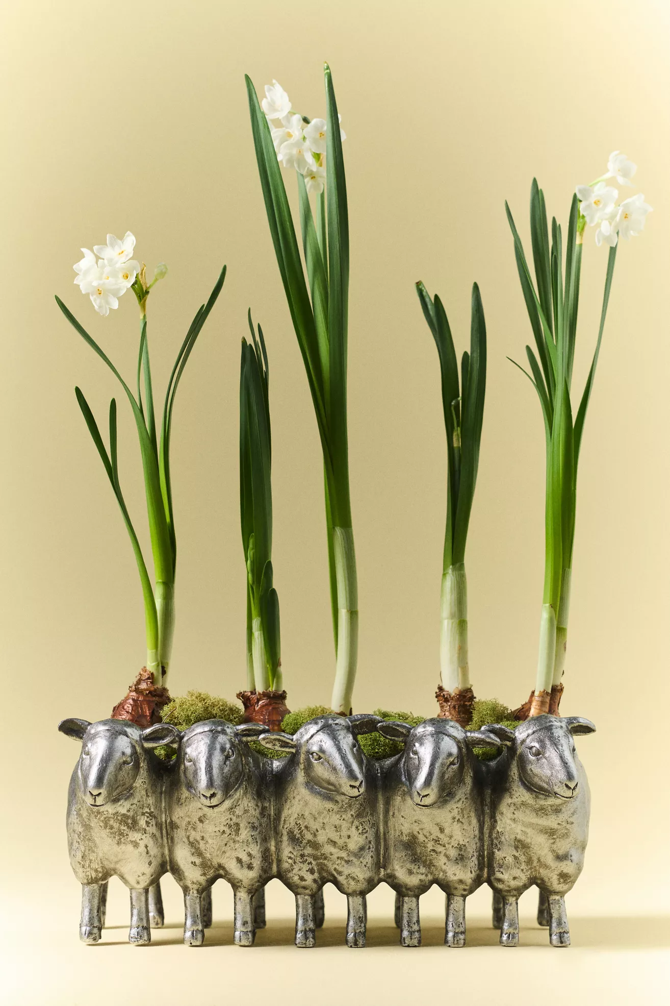 Sheep Resin Pot