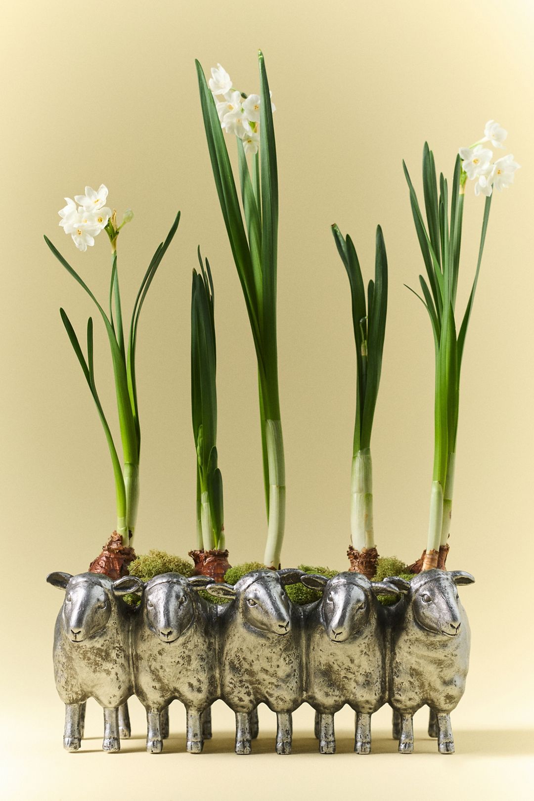 Sheep Stoneware Pot - Grey, Assorted