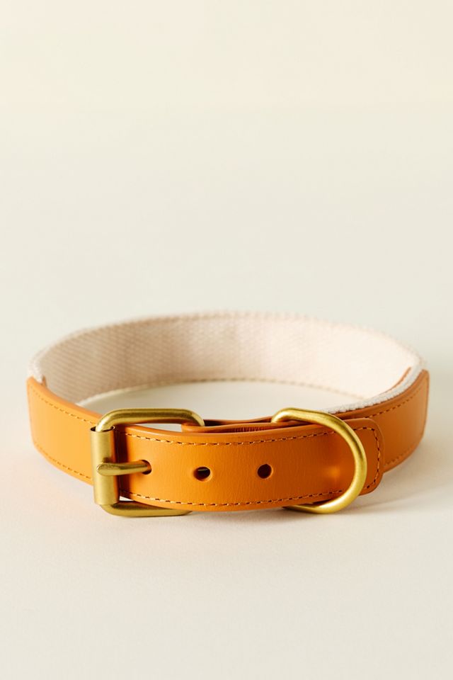 By Anthropologie Icon Pet Collar #3