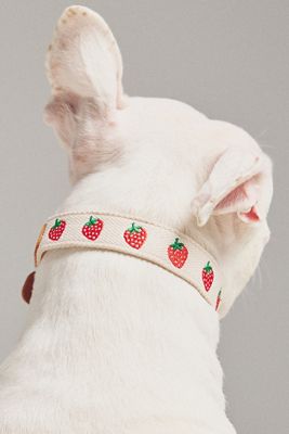 By Anthropologie Icon Pet Collar