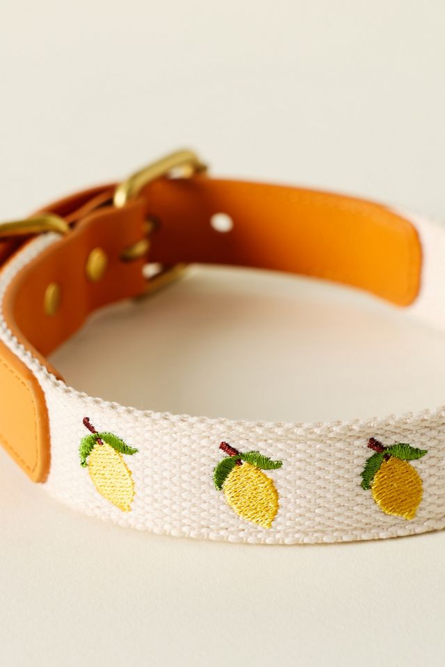By Anthropologie Icon Pet Collar #2