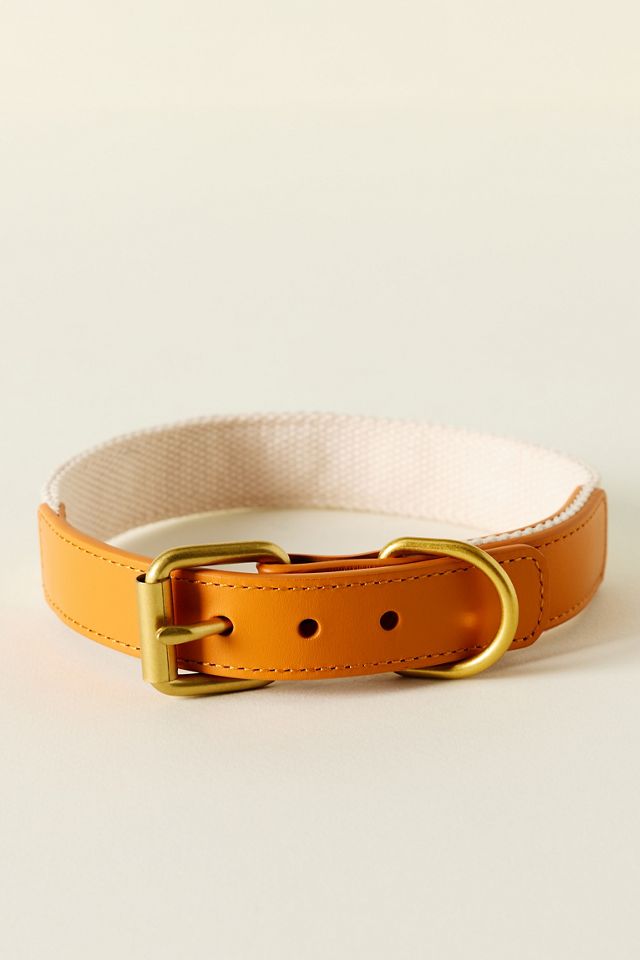 By Anthropologie Icon Pet Collar #1