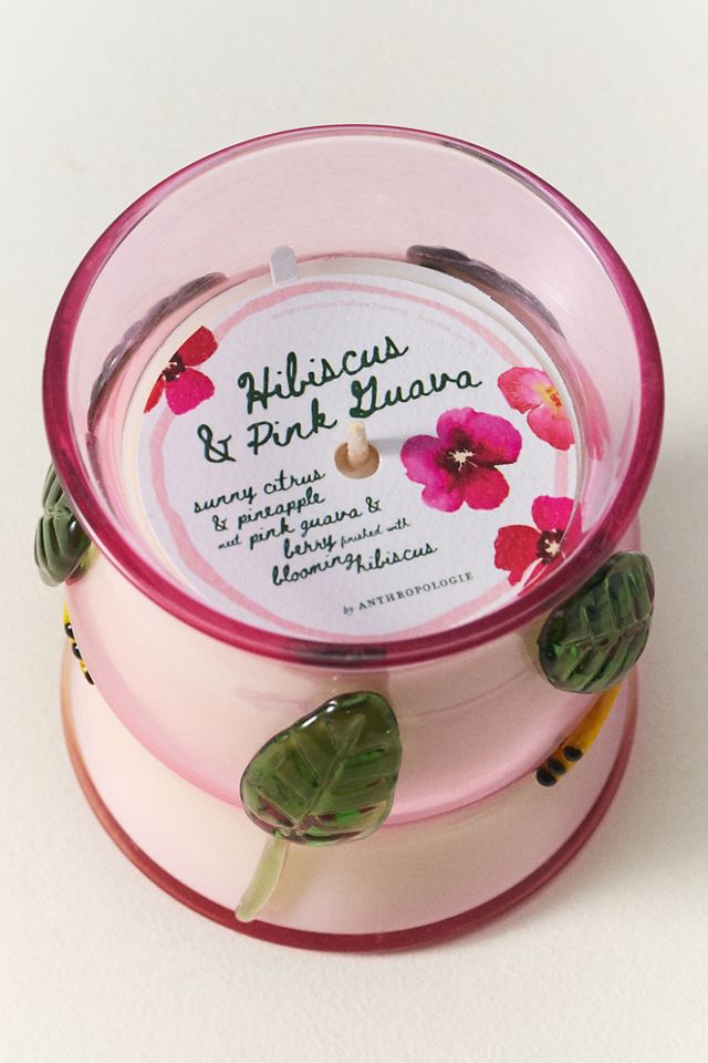 The Cove Fruity Hibiscus & Pink Guava Glass Candle | AnthroHome