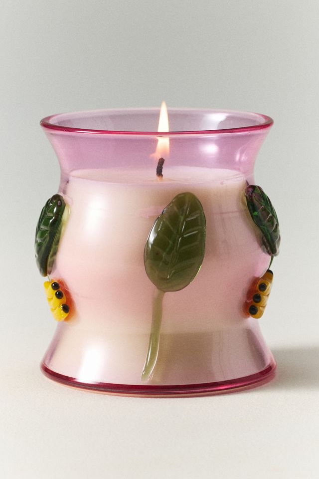 The Cove Fruity Hibiscus & Pink Guava Glass Candle | AnthroHome