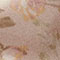 Pink Salt Vintage Rose
