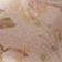 Pink Salt Vintage Rose