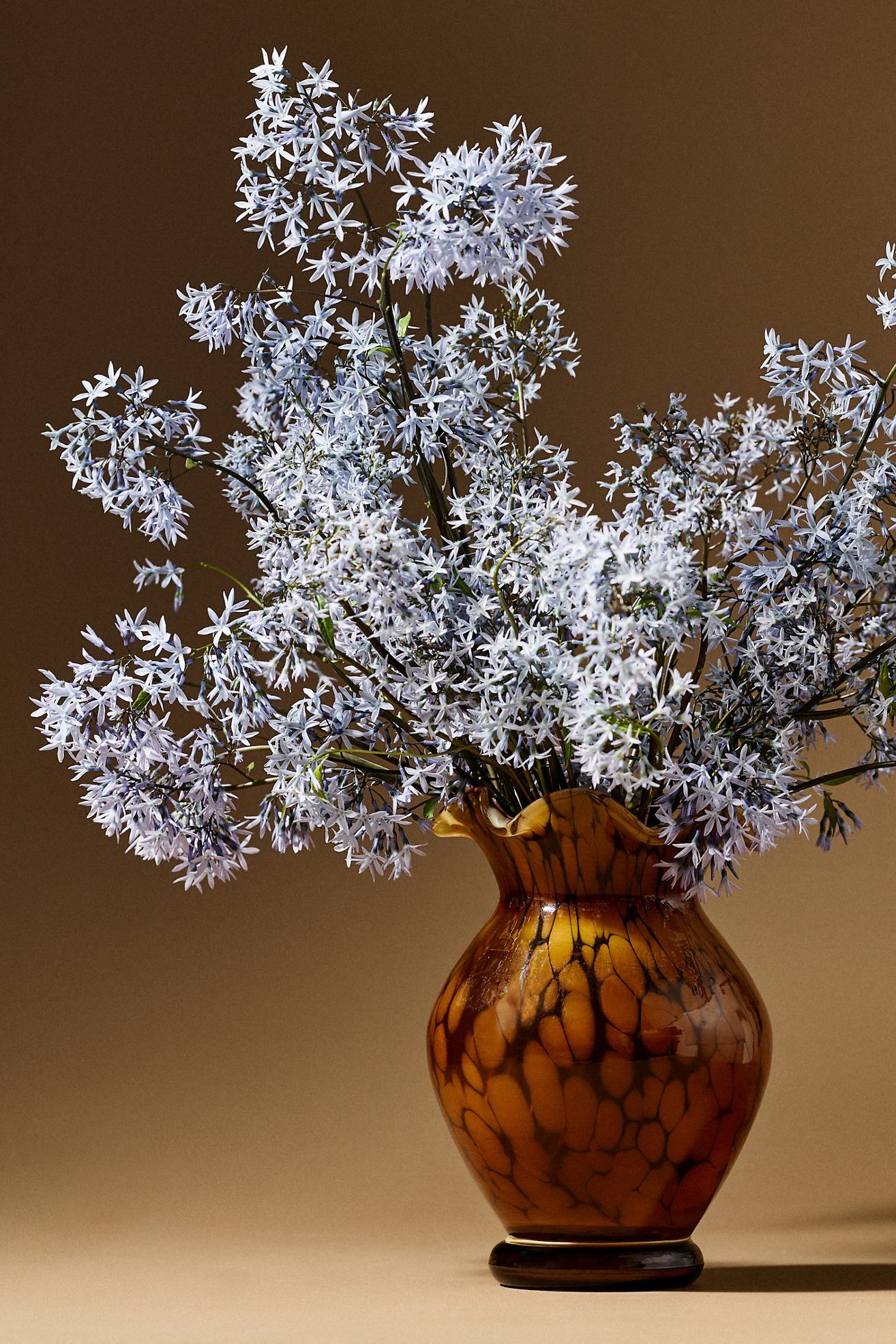 Colette Glass Vase - Amber, Assorted