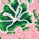 Pink/Green