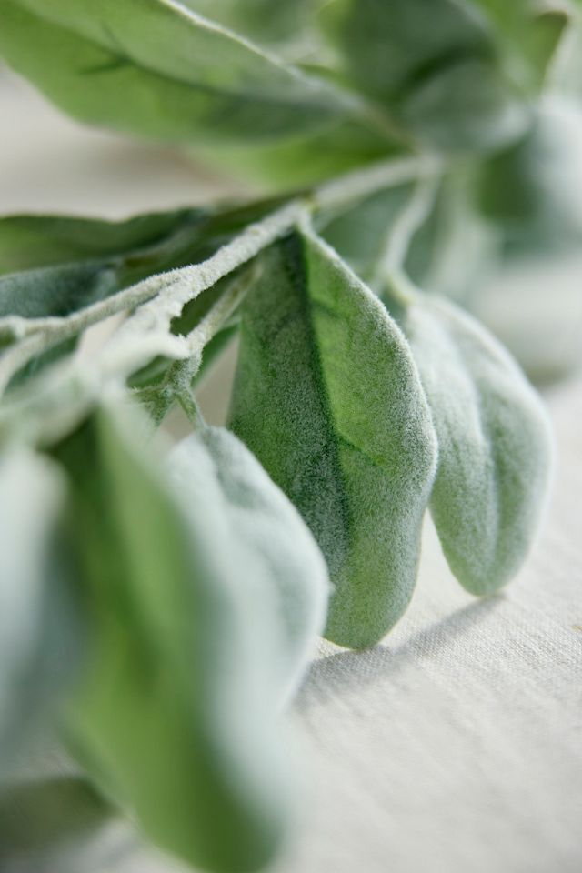 Faux Lamb’s Ear Garland, 9' #1