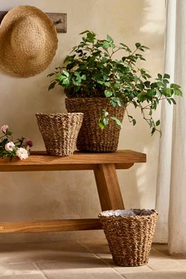 Woven Rattan Taper Basket Planter