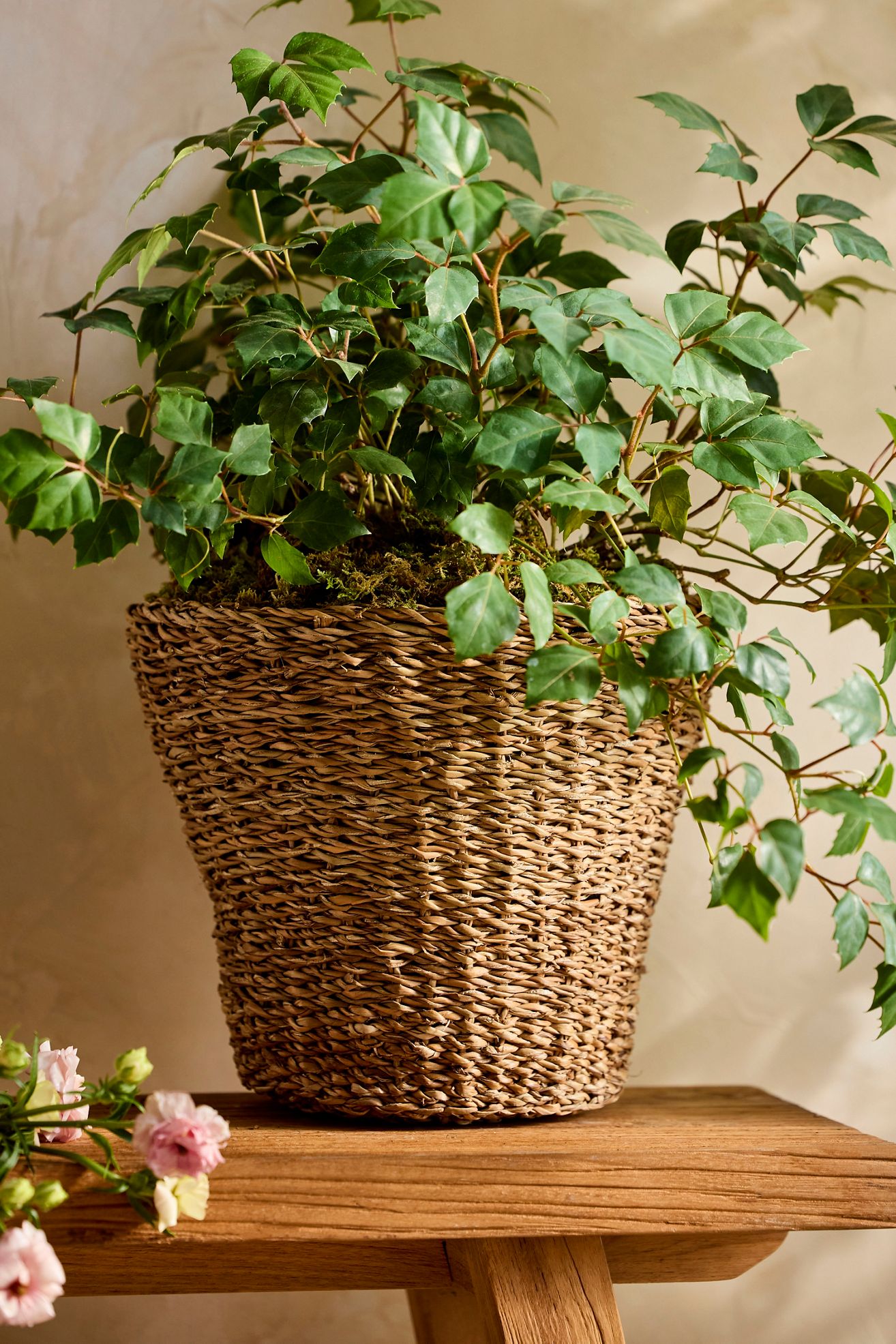 Woven Rattan Taper Basket Planter - Neutral