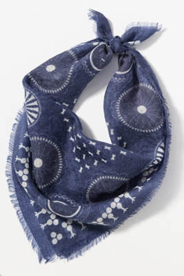 Wyeth Apollo Cashmere Hair Scarf In Blue