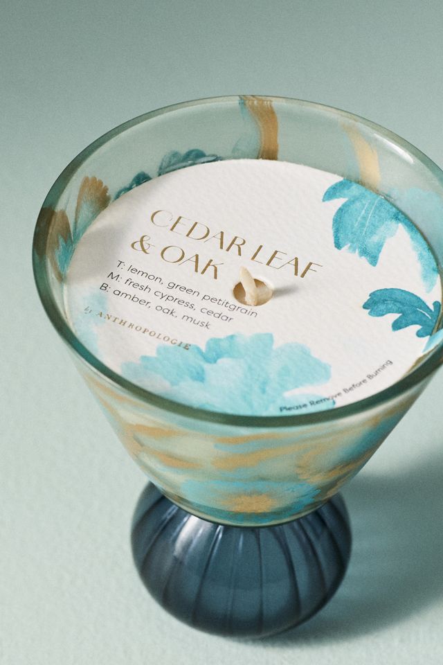 Charlotte Woody Cedar Leaf & Oak Glass Candle #2