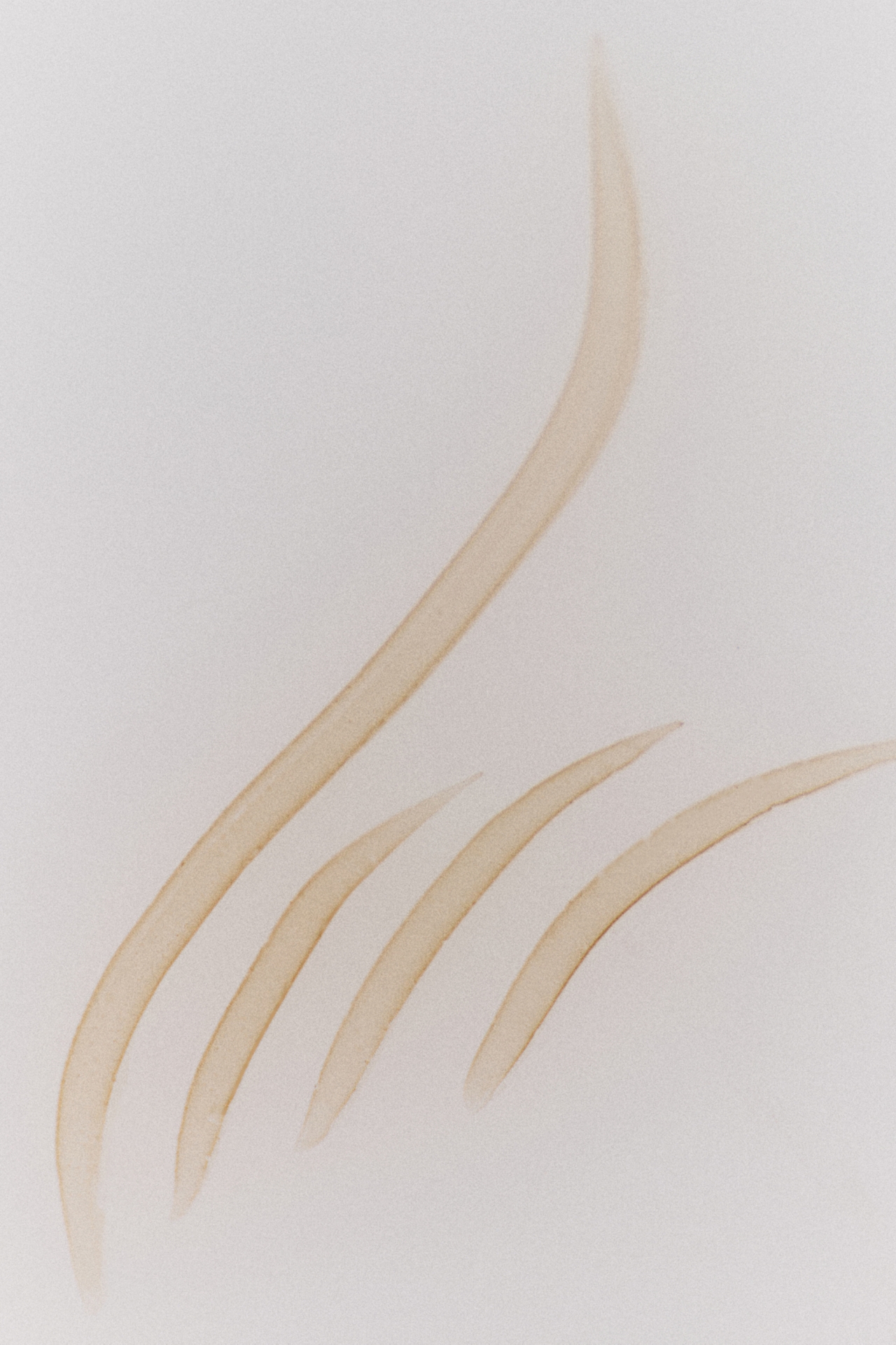 Anastasia Beverly Hills Microstroke Brow Pen