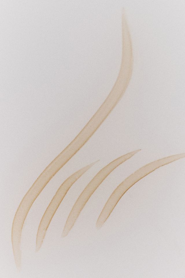 Anastasia Beverly Hills Microstroke Brow Pen #1