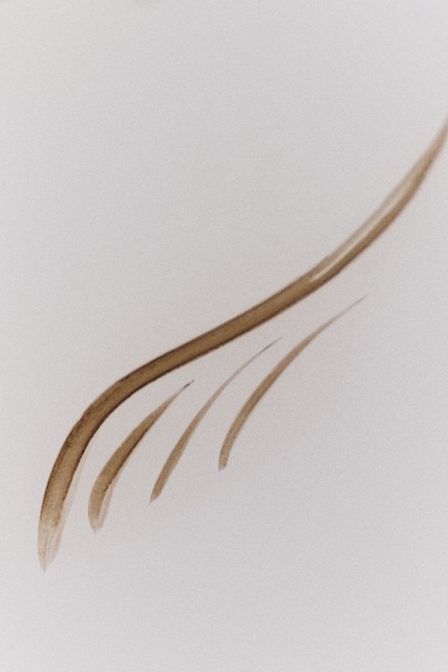 Anastasia Beverly Hills Microstroke Brow Pen #1