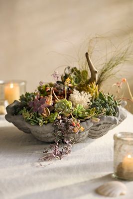 Seashell Stone Planter