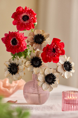 Anemone Iron Bunch | Terrain
