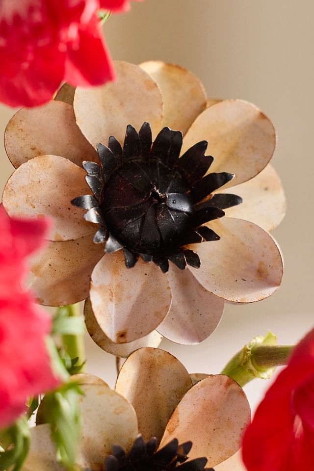 Anemone Iron Bunch #1