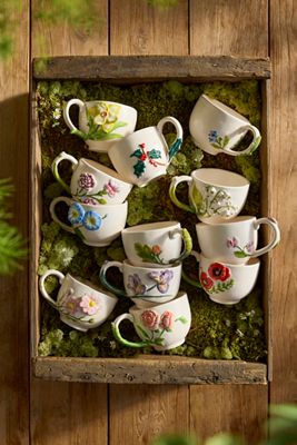 Quail Ceramics Fox Pitcher | Terrain