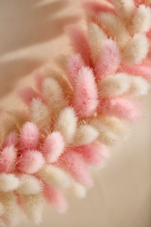 Dried Bunny Tails Wreath, Large #1