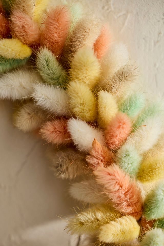 Dried Bunny Tails Wreath, Large #1