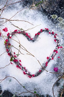 Weeping Bamboo + Vine Heart Wreath