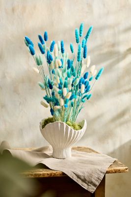 Dried Bunny Tails Bunch