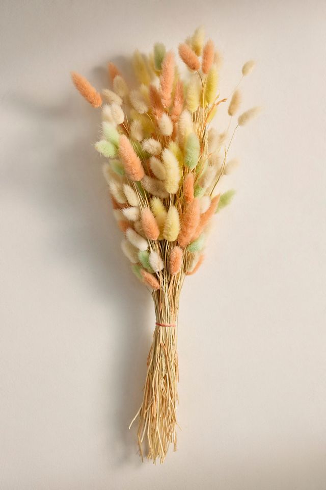 Dried Bunny Tails Bunch #2