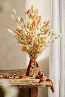 Dried Bunny Tails Bunch