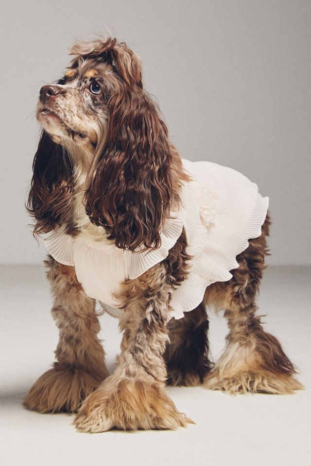 FURB Love Story Petal Pink Pleated Chiffon Pet Dress #1
