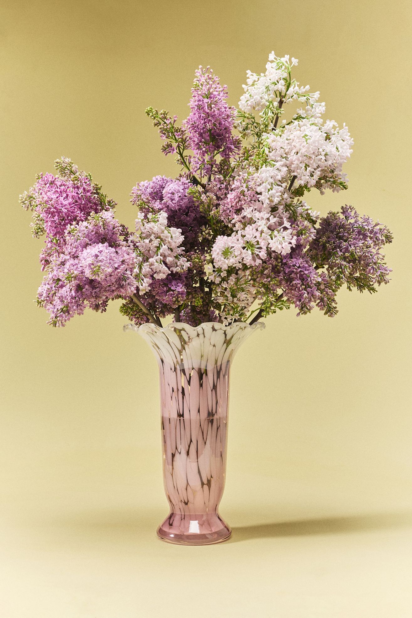 Stella Vase - Pink - Large, Assorted