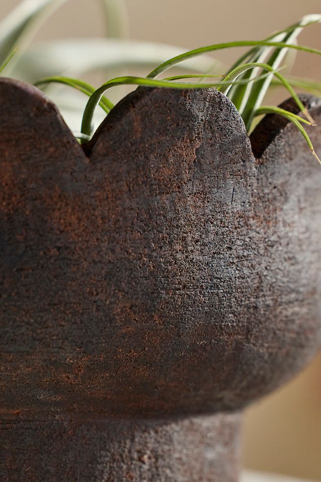 Scallop Edge Terracotta Bowl Planter #1