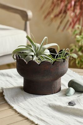Asymmetric Glazed Terracotta Planter | AnthroHome