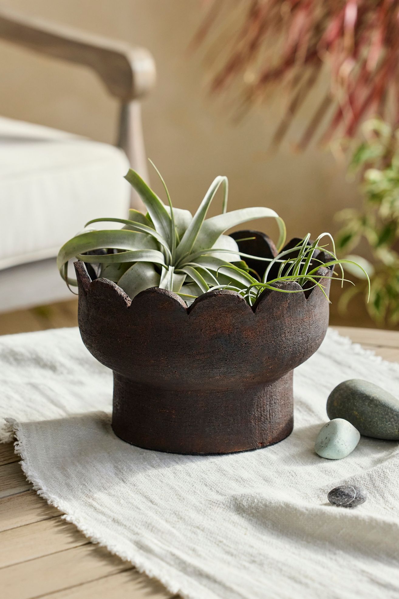 Scallop Edge Terracotta Bowl Planter - Cream, 9"