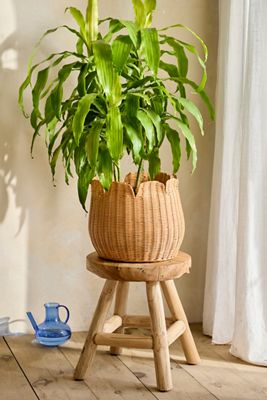 Woven Rattan Tulip Pot