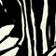 Black & White Pattern