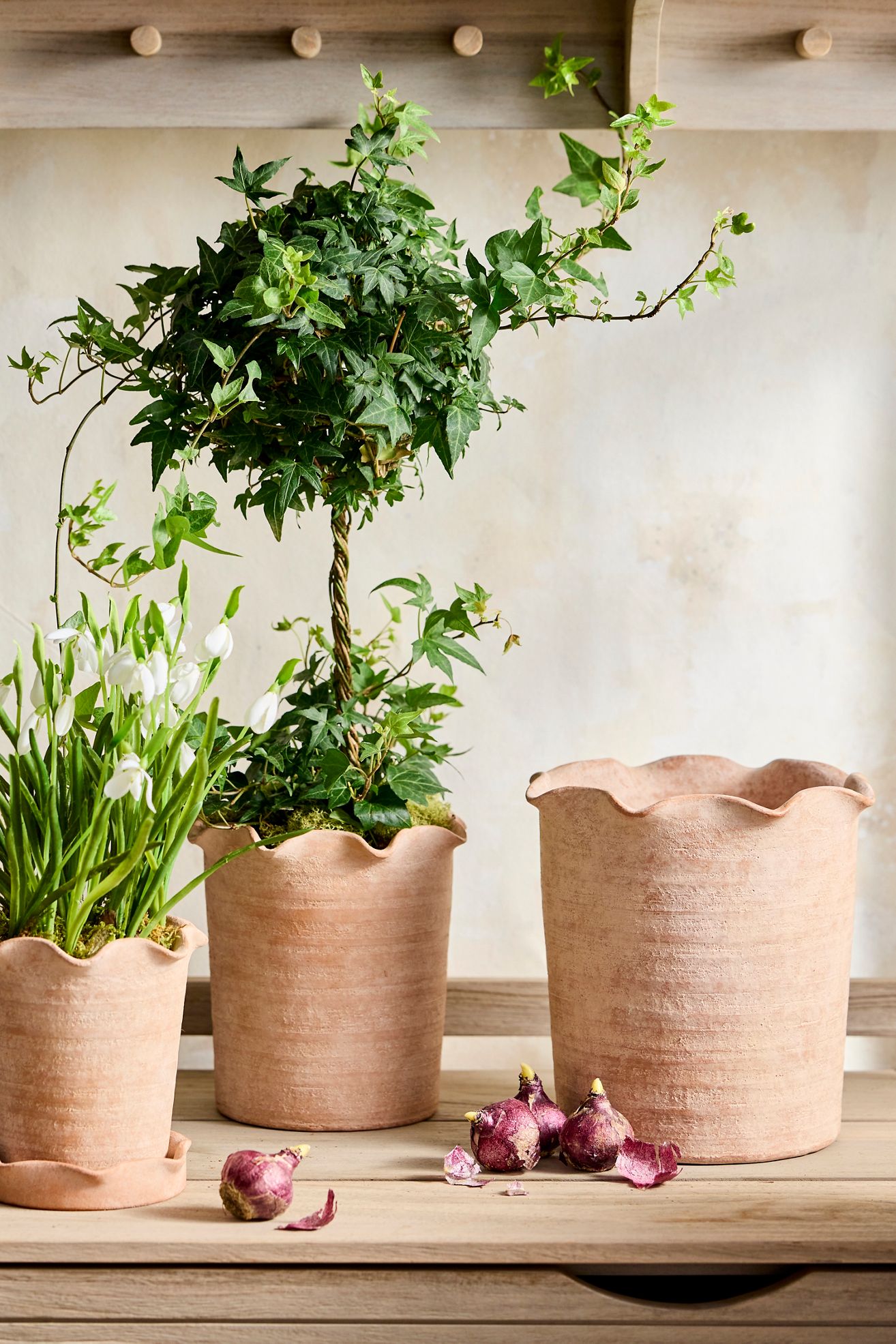 Terracotta Pie Crust Rim Planter, Straight Side - Peach, 9"